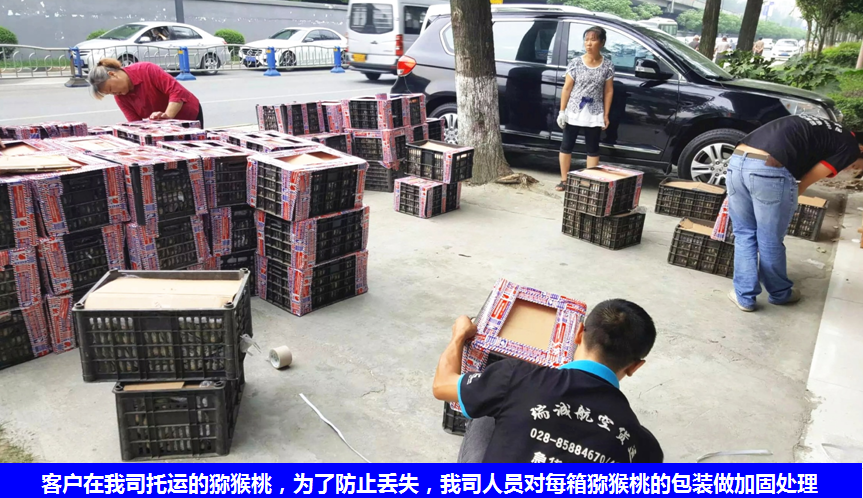 水果航空運輸