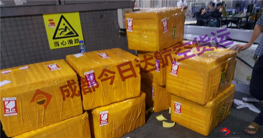 冷凍貨物空運