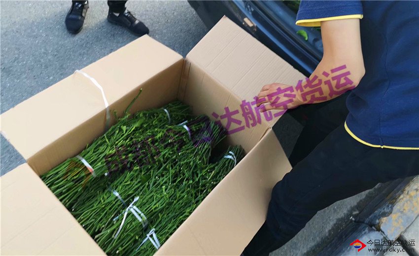 成都樹枝航空運(yùn)輸